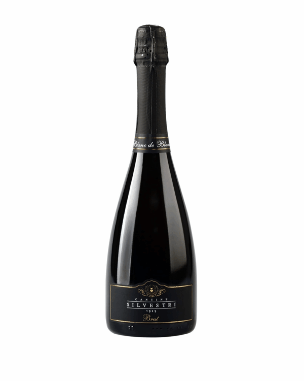 Spumante Brut Silvestri